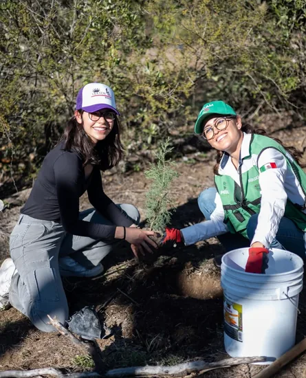 Dos personas plantando un árbol en la reforestación del parque urbano de SLP con Green Hug